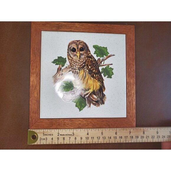 Barred Owl Tile Trivet Framed Decor Wall Hanging USA (2) EUC - Picture 6 of 7
